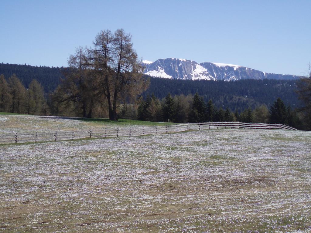 Rastlhof Villa Meltina Exteriör bild